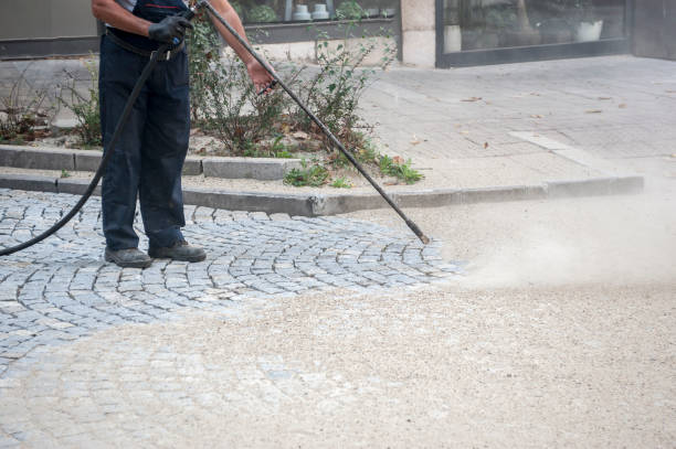 Best Roof Washing  in Key Vista, FL