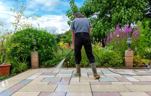 Best Spring Cleaning  in Key Vista, FL